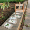 Leaf and Flower Press